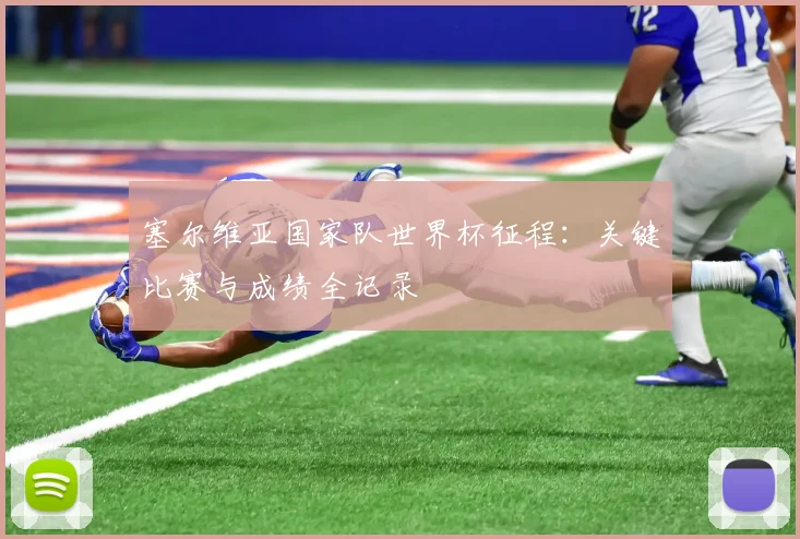 塞尔维亚国家队世界杯征程：关键比赛与成绩全记录