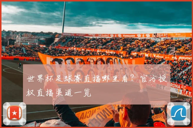 世界杯足球赛直播哪里看？官方授权直播渠道一览