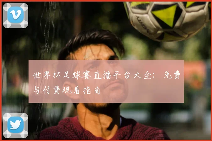 世界杯足球赛直播平台大全：免费与付费观看指南